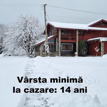VistisoaraCasa Bunicului别墅 外观 照片