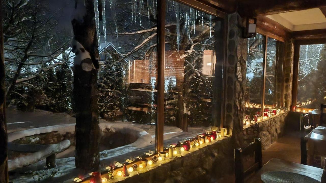VistisoaraCasa Bunicului别墅 外观 照片