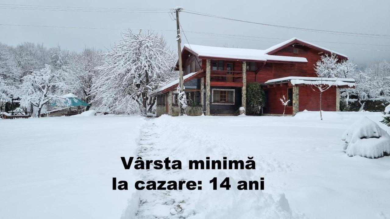 VistisoaraCasa Bunicului别墅 外观 照片